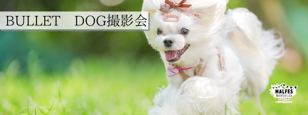 BULLET DOG撮影会