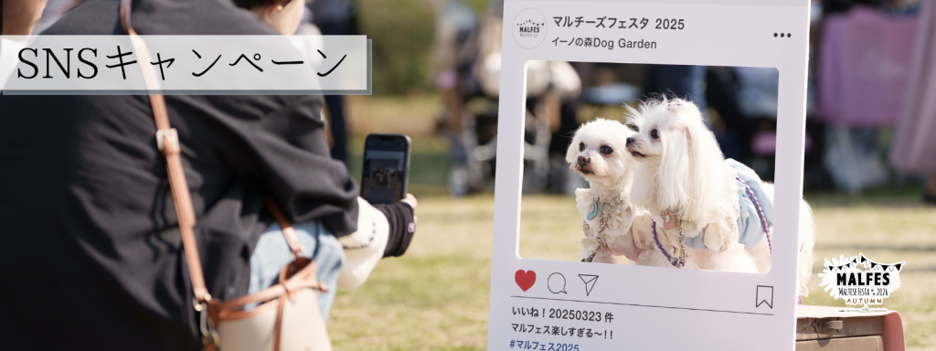 SNSキャンペーン