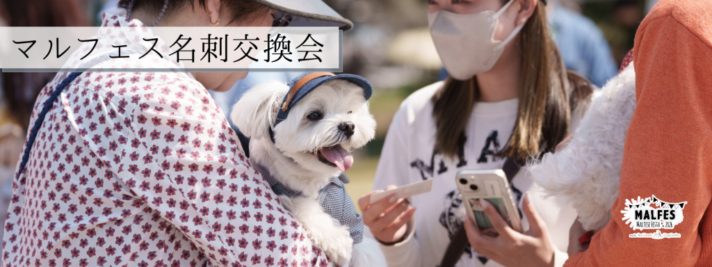 マルフェス名刺交換会