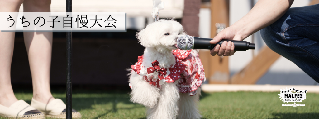うちの子自慢大会