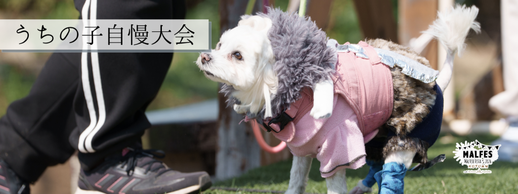 うちの子自慢大会