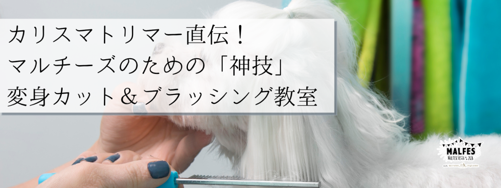 カリスマトリマー直伝！マルチーズのための「神技」変身カット＆ブラッシング教室