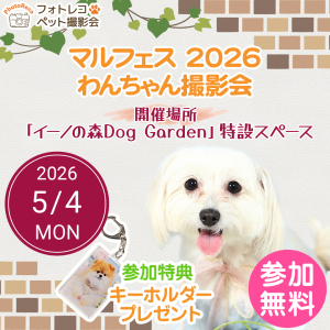 フォトレコペット撮影会