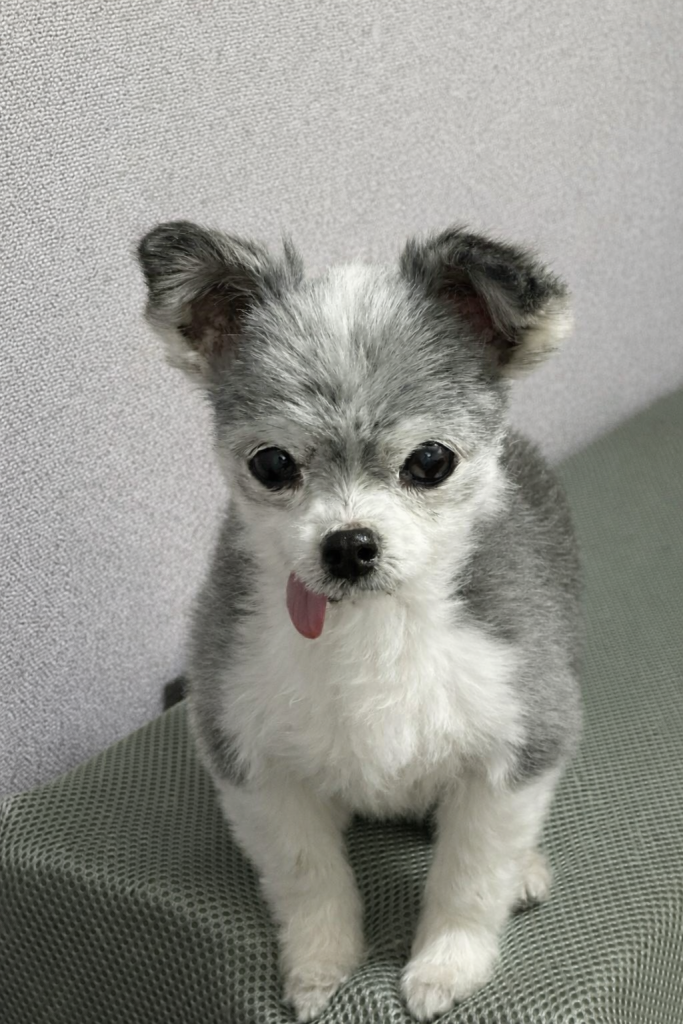 マーチくん