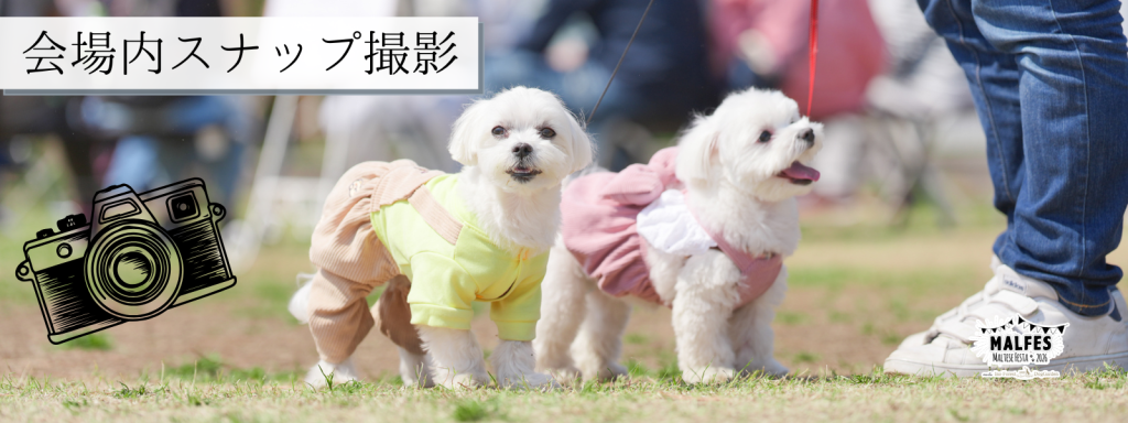 会場内スナップ撮影