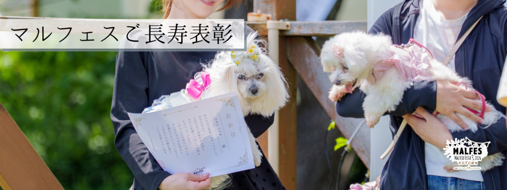 ご長寿表彰@2026-11-21